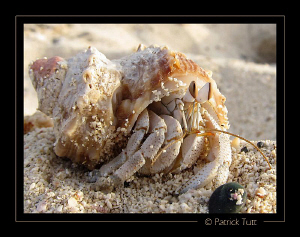 Beach runner… Marsa Shagra - Egypt - Canon S90 by Patrick Tutt 
